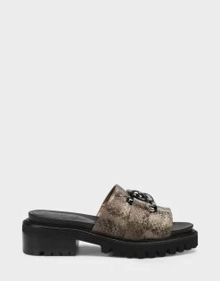 Best reviews of 🔔 Aerosoles 👩 Women's 🩴 Sandal In Grey Grey Snake 👍