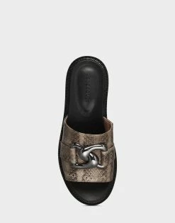 Best reviews of 🔔 Aerosoles 👩 Women's 🩴 Sandal In Grey Grey Snake 👍 -Women's Shoes Sales Store unnamed file 1106