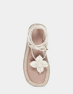 Top 10 🎉 Aerosoles 👩 Women's 🩴 Sandal In Off White Eggshell Leather 🧨 -Women's Shoes Sales Store unnamed file 1757