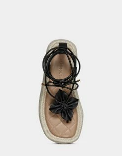 Cheapest 🎉 Aerosoles 👩 Women's 🩴 Sandal In Black Black Leather 😀 -Women's Shoes Sales Store unnamed file 1761